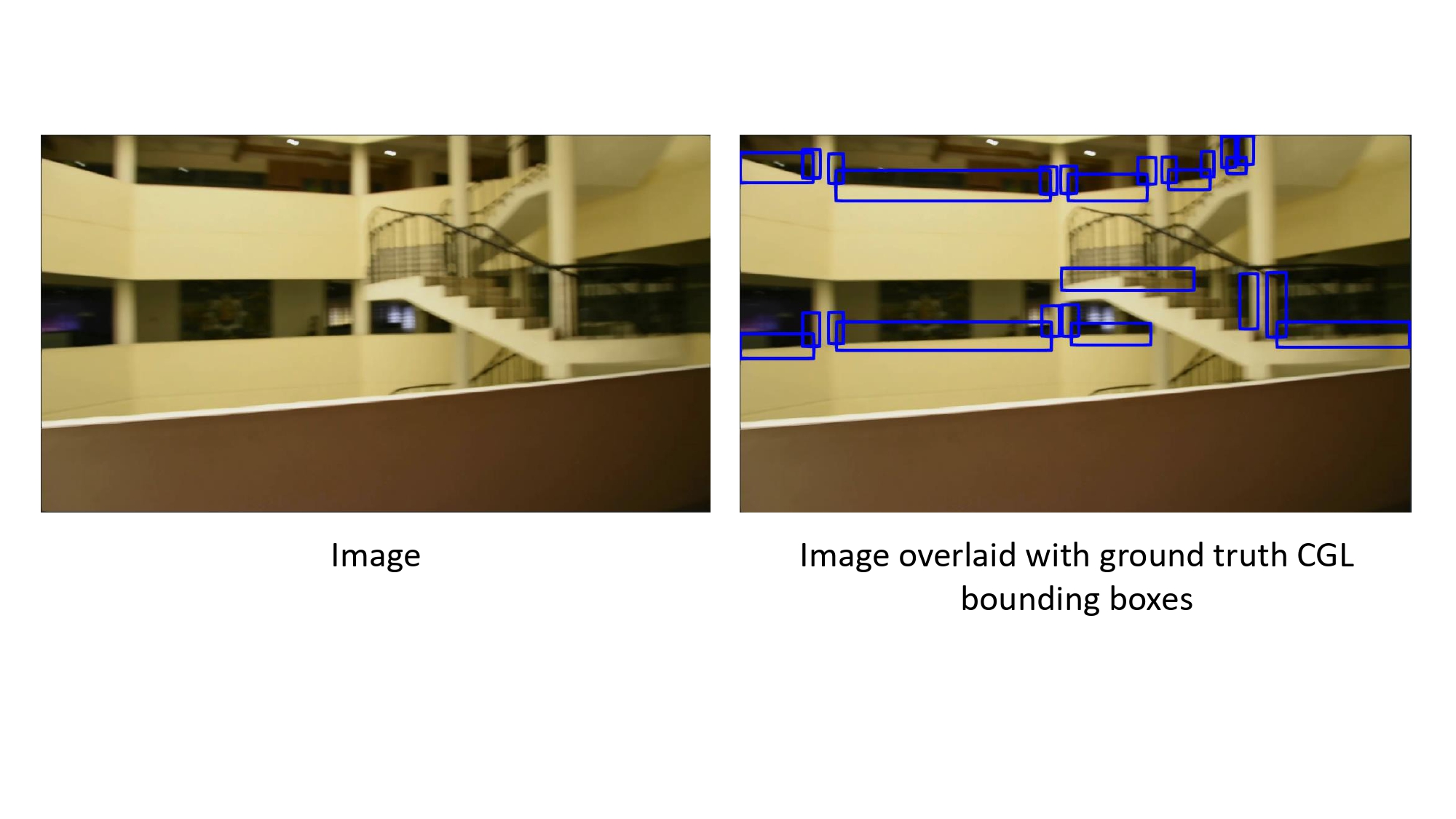 CGL_Annotation_5